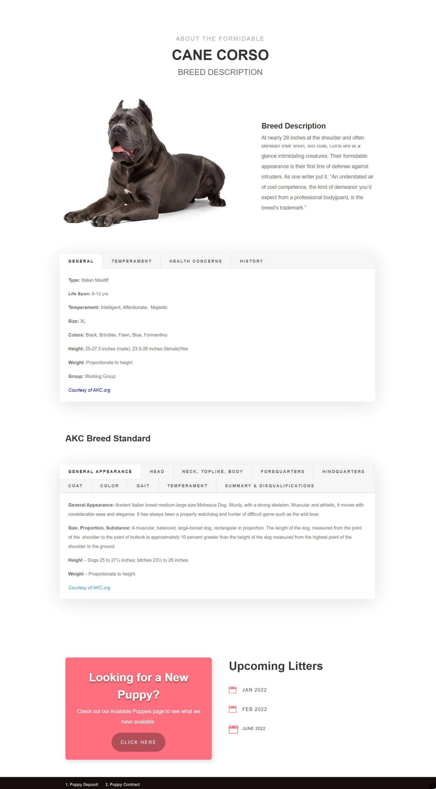 VPH-Breed-Description-samplepage-vbh